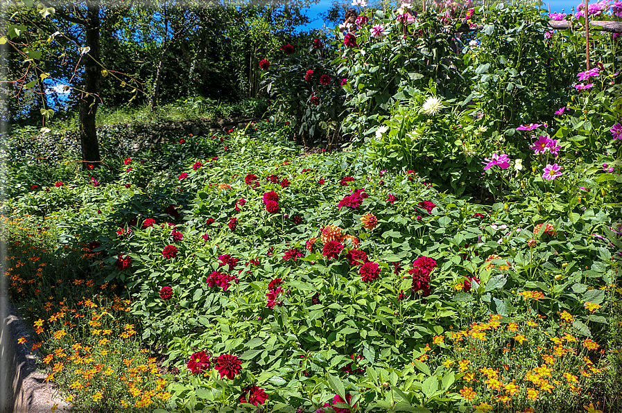 foto Giardini Trauttmansdorff - Paesaggi dell'Alto Adige